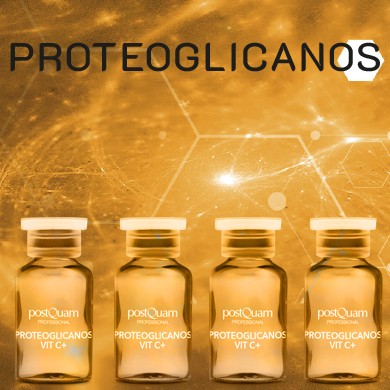 PROTEOGLICANOS