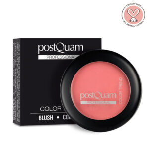 PostQuam Professional kompakt arcpirosító tükörrel 10 g - Natural