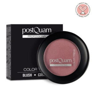 PostQuam Professional kompakt arcpirosító tükörrel 10 g - Watercolor