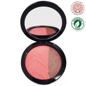 PostQuam Professional 2in1 arcpirosító + fénypúder 9 g